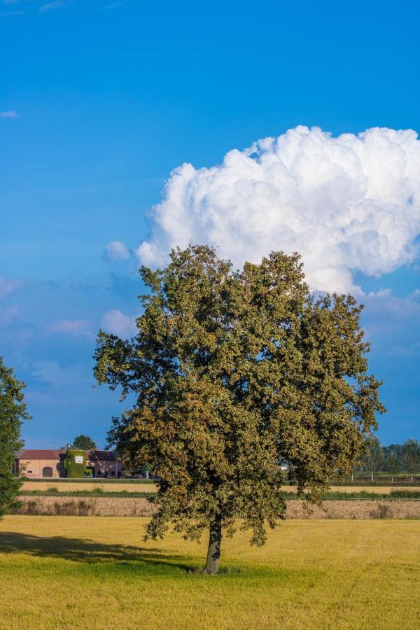 Tenuta Isola Langosco Εξωτερικό φωτογραφία